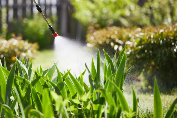 24/7 Emergency Mosquito Control experts in Lakeland, NY